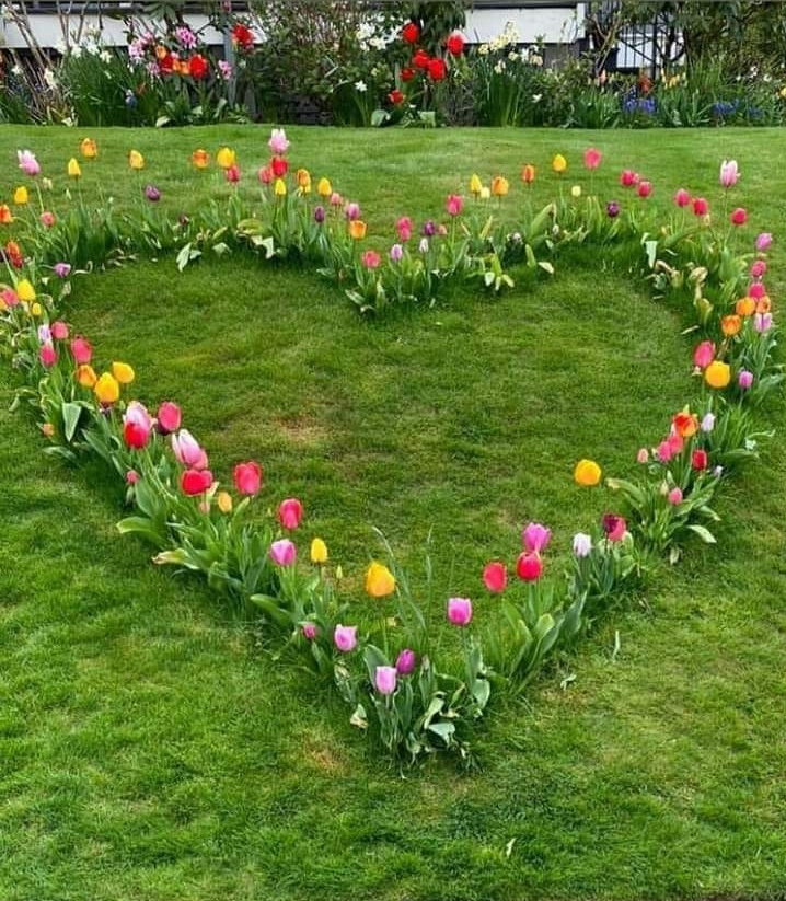 Buikdans jaartraining love yourself