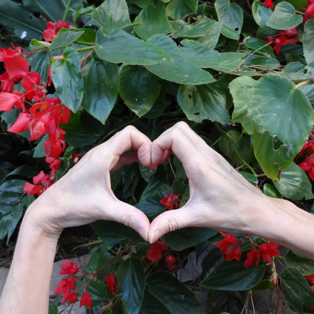 love heart nature buikdans bellydans godinnendans buikdansworkshop Amsterdam