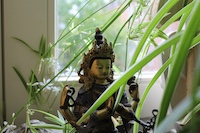 Meditatie buikdans jaartraining Goddess dance creatie vrouwelijkheid Shaheen Amsterdam